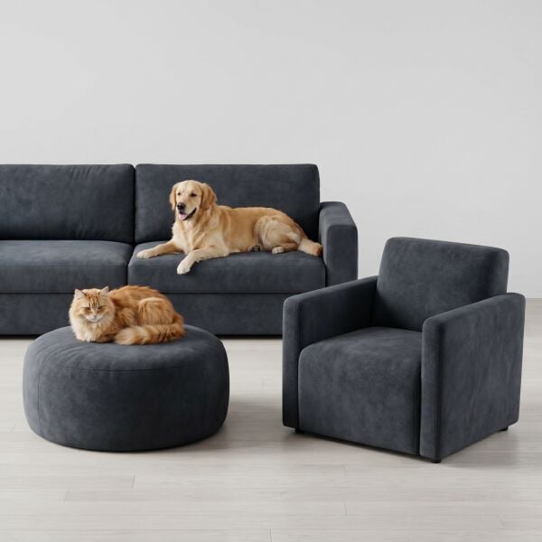 Azure Pati Dostu Kumaş Gece Gri