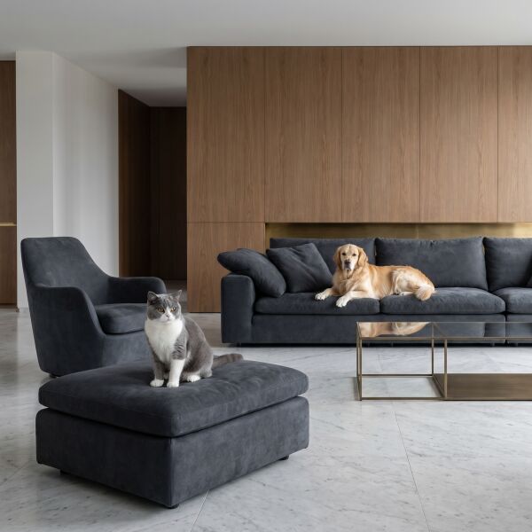 Azure Pati Dostu Kumaş Gece Gri