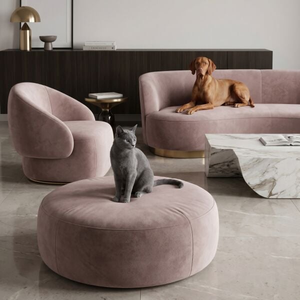 Azure Pati Dostu Kumaş Nude Kahverengi