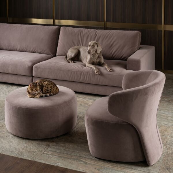 Azure Pati Dostu Kumaş Vizon Kahverengi