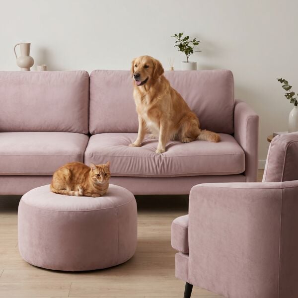 Azure Pati Dostu Kumaş Pembe