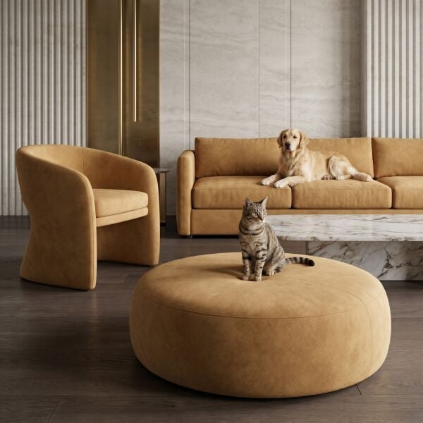 Azure Pati Dostu Kumaş Sarı Turuncu