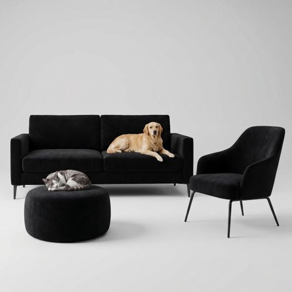 Azure Pati Dostu Kumaş Siyah