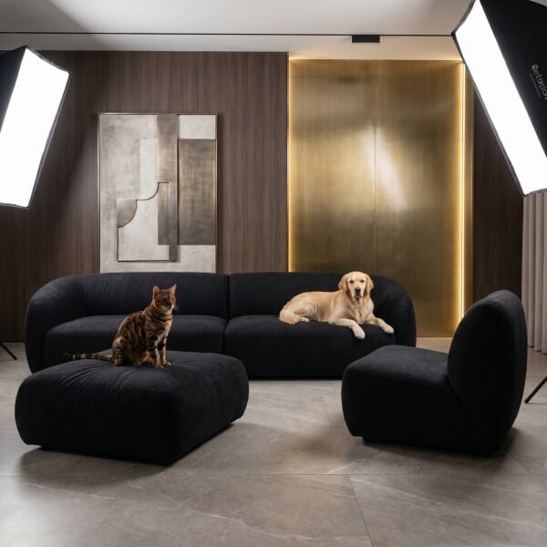 Azure Pati Dostu Kumaş Siyah