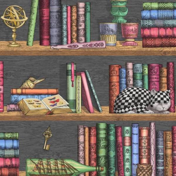 Fornasetti Kütüphane Desen Duvar Kağıdı