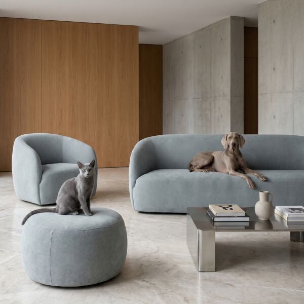 Azure Pati Dostu Kumaş Gümüş Yeşil