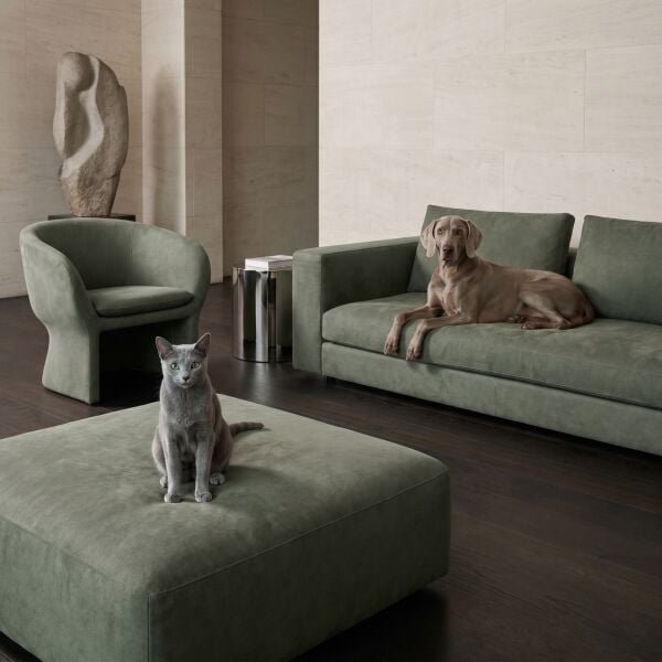 Azure Pati Dostu Kumaş Haki Yeşil