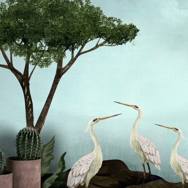 Uva Tropik Çamlar Ve Beyaz Pelikanlar Duvar Kağıdı