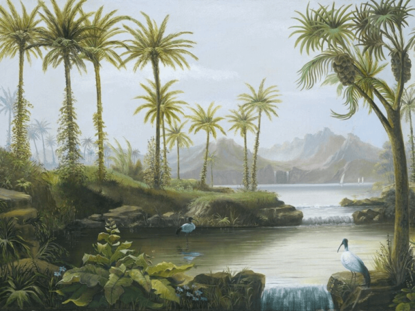 Uva Dağlar Arasında Şelale Palmiye Ağaçları Duvar Kağıdı