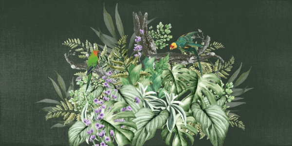 Uva Tropik Yaprak Buketi Üzerinde Papağanlar Duvar Kağıdı