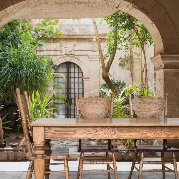 Niş Duvar Önünde Bitkiler Duvar Kağıdı