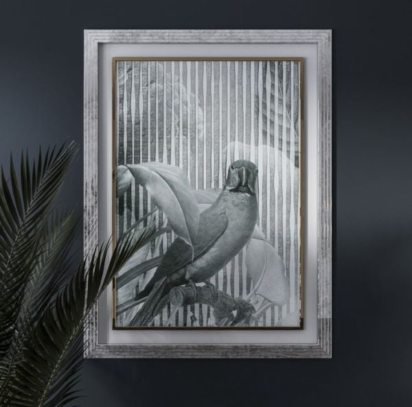 Manolya Çiçeği Papağanlar Duvar Kağıdı