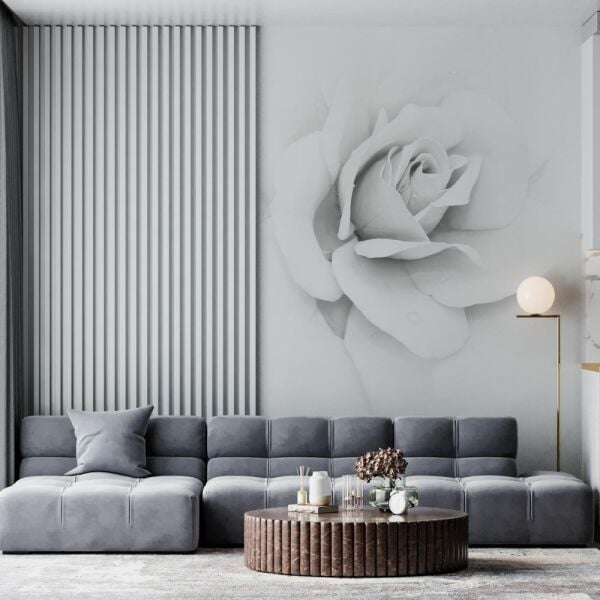 Beyaz Gül Duvar Kağıdı