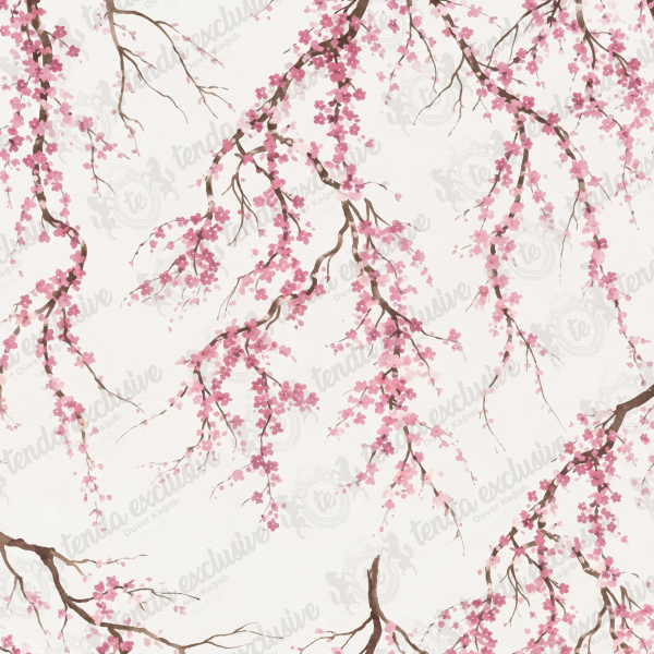 Pembe Sakura Çiçekleri Duvar Kağıdı