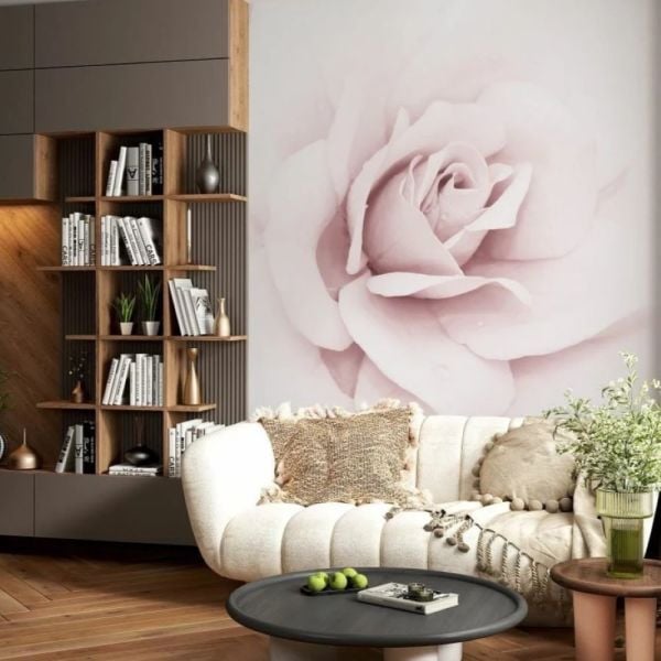 Pembe Gül Duvar Kağıdı