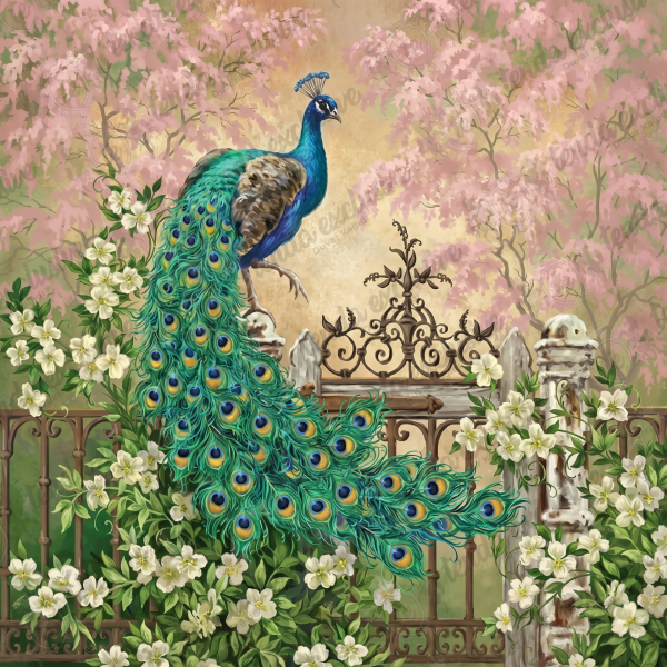 Uva Egzotik Hayvanlar Koleksiyonu Duvar Kağıdı