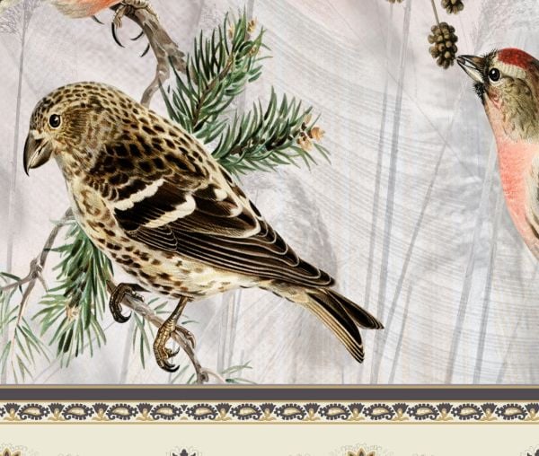 Etnik Desen ve Kuşlar Duvar Kağıdı