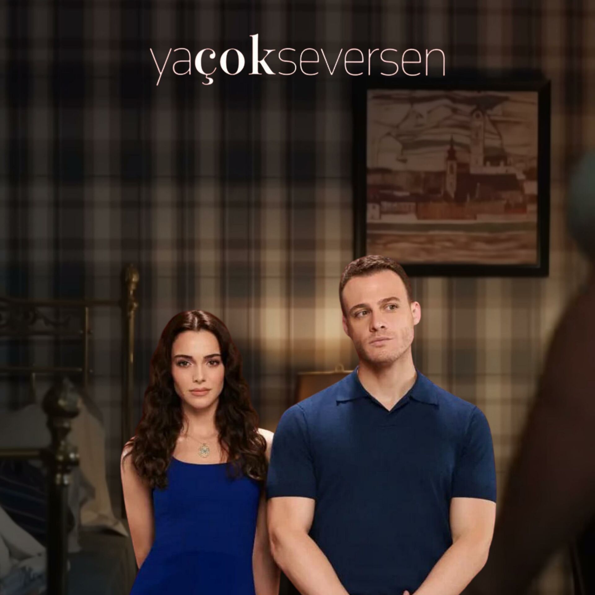 Ya Çok Seversen İlter Oda Ekose Desen Duvar Kağıdı