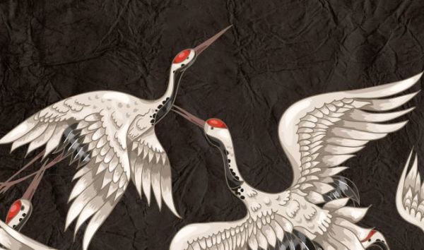 Siyah Zeminde Turna Kuşları Duvar Kağıdı