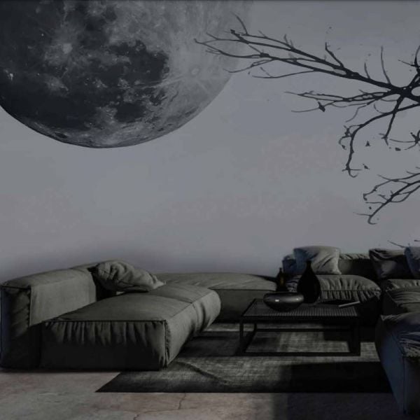 Dolunay Ve Siyah Ağaç Dalları Duvar Kağıdı