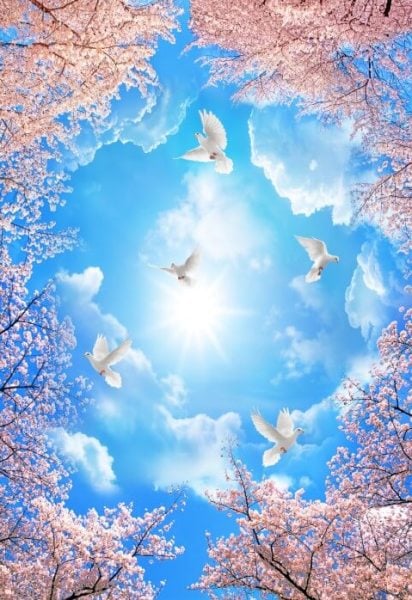 Uva Egzotik Hayvanlar Koleksiyonu Duvar Kağıdı