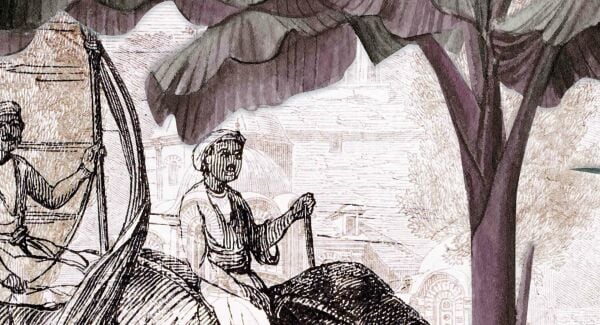 Muz Ağaçları Fil Tasarım Duvar Kağıdı