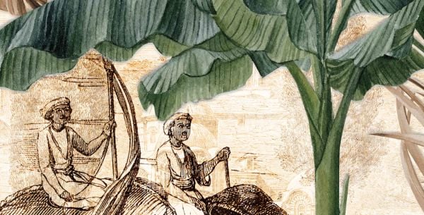 Sepya Yeşil Renk Muz Ağaçları Fil Tasarım Duvar Kağıdı