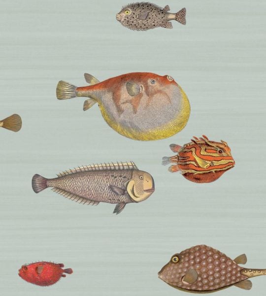 Acquario Balıklı Fornasetti Duvar Kağıdı