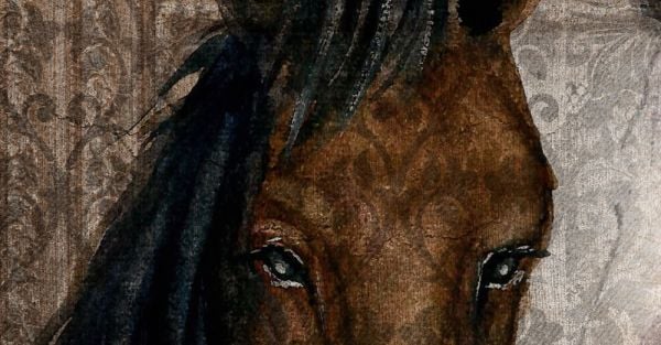 Sevgi Dolu Doğal Yılkı Atları Duvar Kağıdı