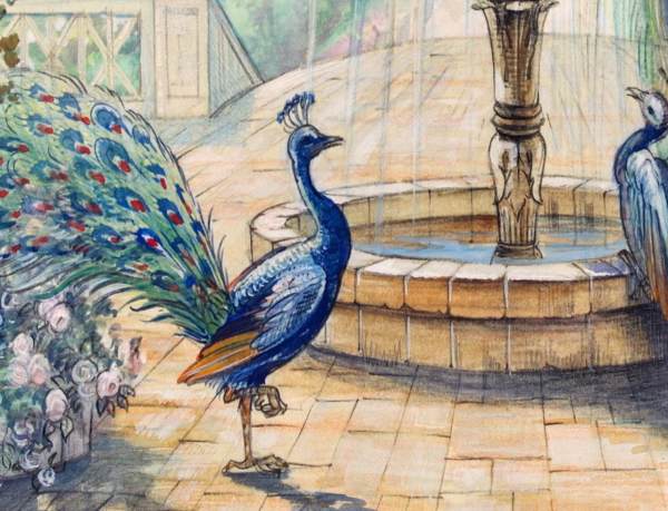 Camdaki Kız Canlı Tavuşkuşu Duvar Kağıdı