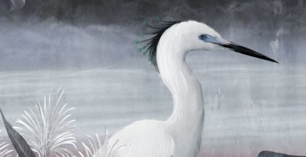 Dağlar Şelaleler Egzotik Orman Duvar Kağıdı