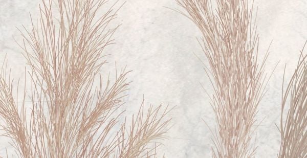 Buğday Başakları Sepya Duvar Kağıdı