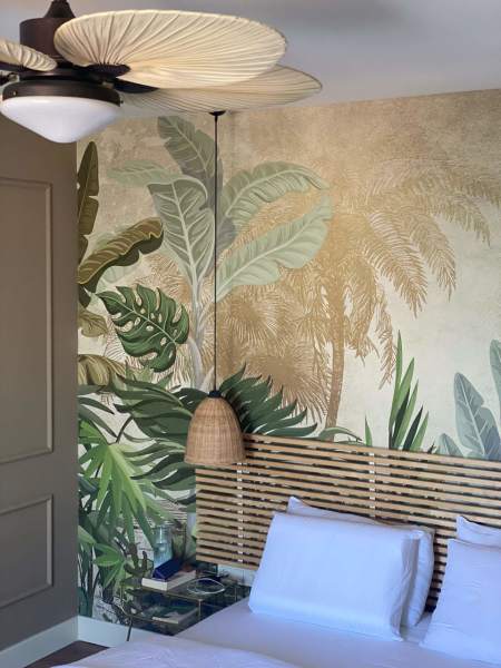 Tropik Orman Deve Tabanı Doğa Duvar Kağıdı