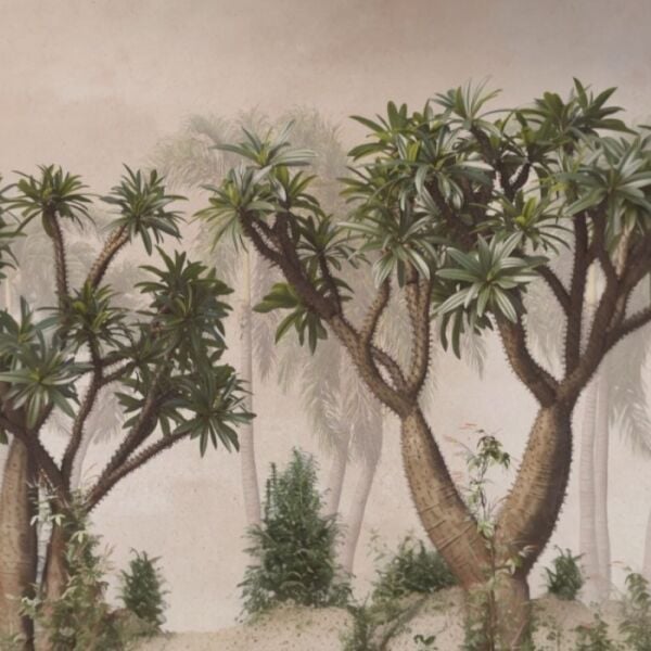 Büyük Bonzai Ağaçları Tasarım Duvar Kağıdı