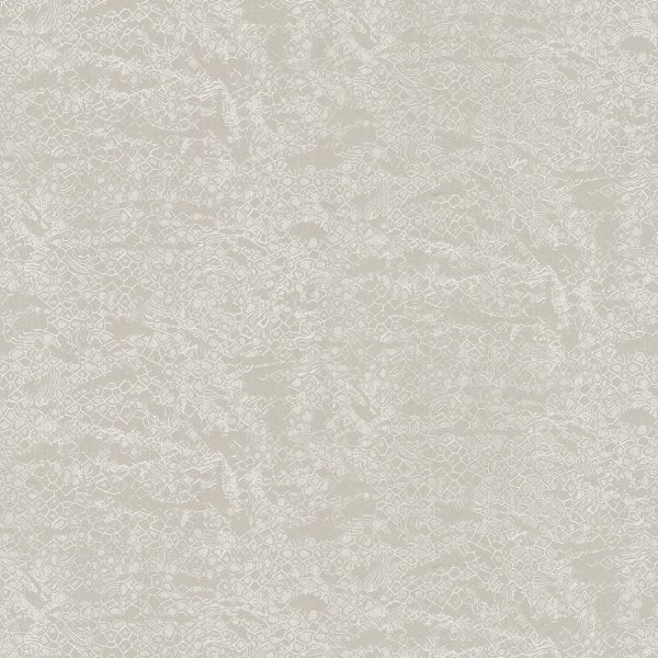 Roberto Cavalli 8 Nolu Koleksiyon Desenli Gümüş Beyaz