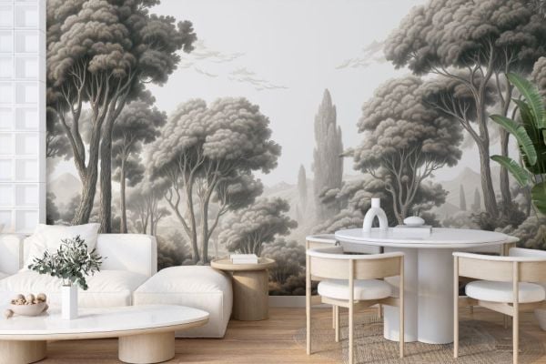 Çam Ağaçları Orman Duvar Kağıdı