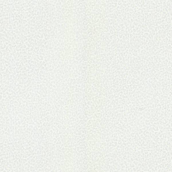 Roberto Cavalli 8 Nolu Koleksiyon Dokulu Silver