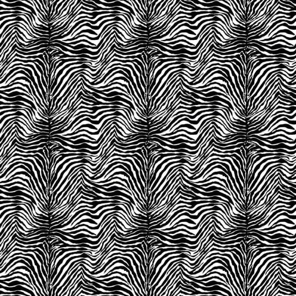 Dolce Gabbana Zebra Siyah Beyaz Duvar Kağıdı