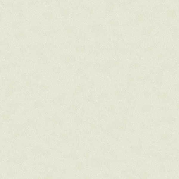 Rima Velisse Koleksiyonu İthal Duvar Kağıdı