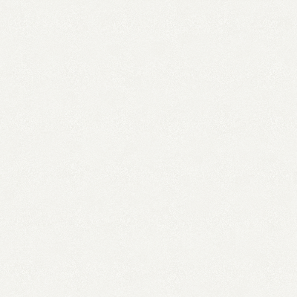 Rima Velisse Koleksiyonu İthal Duvar Kağıdı