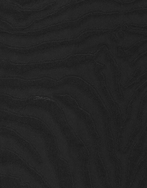 Dolce Gabbana Zebra Siyah Desen Duvar Kağıdı