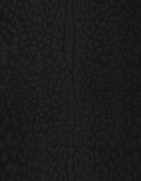 Dolce Gabbana Siyah Leopar Desen Duvar Kağıdı