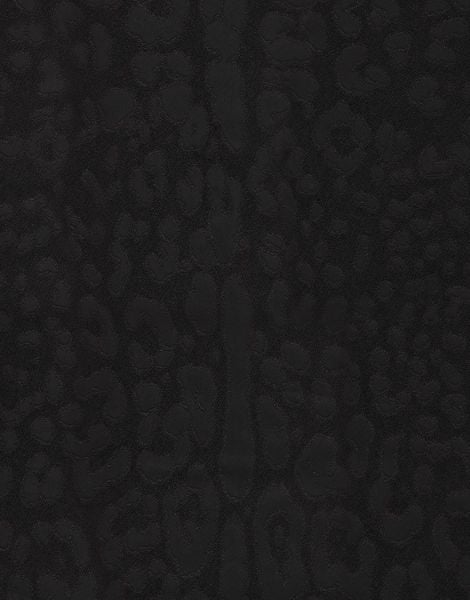Dolce Gabbana Siyah Leopar Desen Duvar Kağıdı