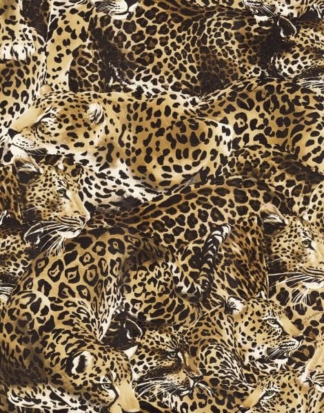 Dolce Gabbana İç İçe Geçmiş Leoparlar Duvar Kağıdı