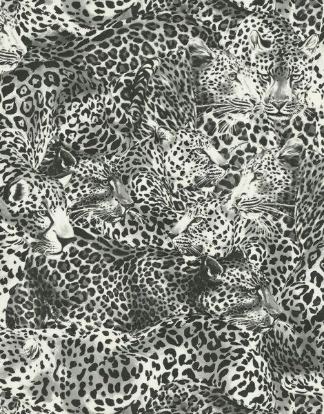 Dolce Gabbana Siyah Beyaz Leopar Desen Duvar Kağıdı