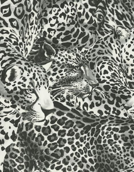 Dolce Gabbana Siyah Beyaz Leopar Desen Duvar Kağıdı