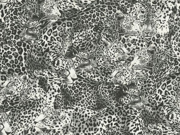 Dolce Gabbana Siyah Beyaz Leopar Desen Duvar Kağıdı