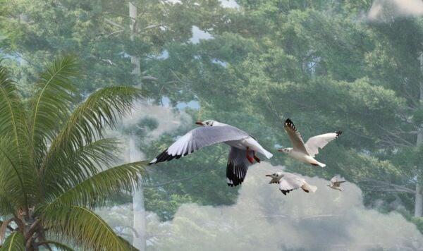 Ormanda Egzotik Hayvanlar Canlı Renkler Duvar Kağıdı