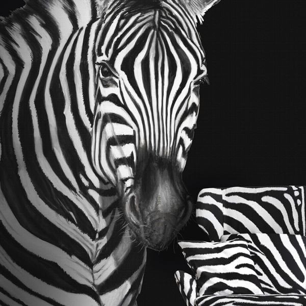 Dolce Gabbana Zebra Pano Kağıt Koleksiyonu