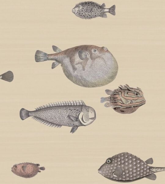 Acquario Balıklı Fornasetti Duvar Kağıdı